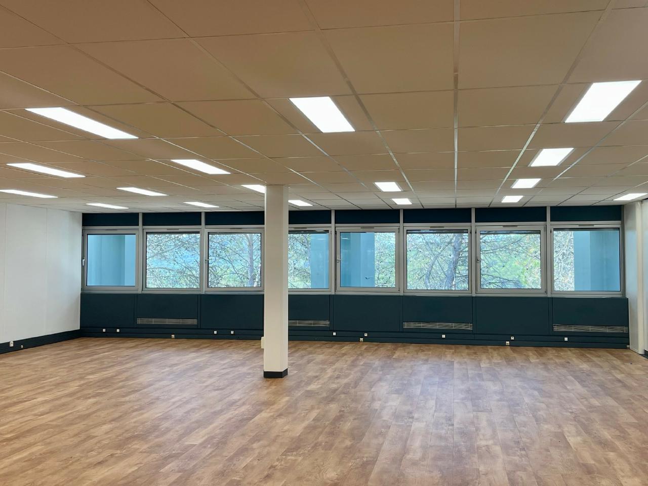 Local d'activité Sophia Antipolis 1329m² Location local d'activité Sophia Antipolis Alpes-Maritimes OLACT2317493 15